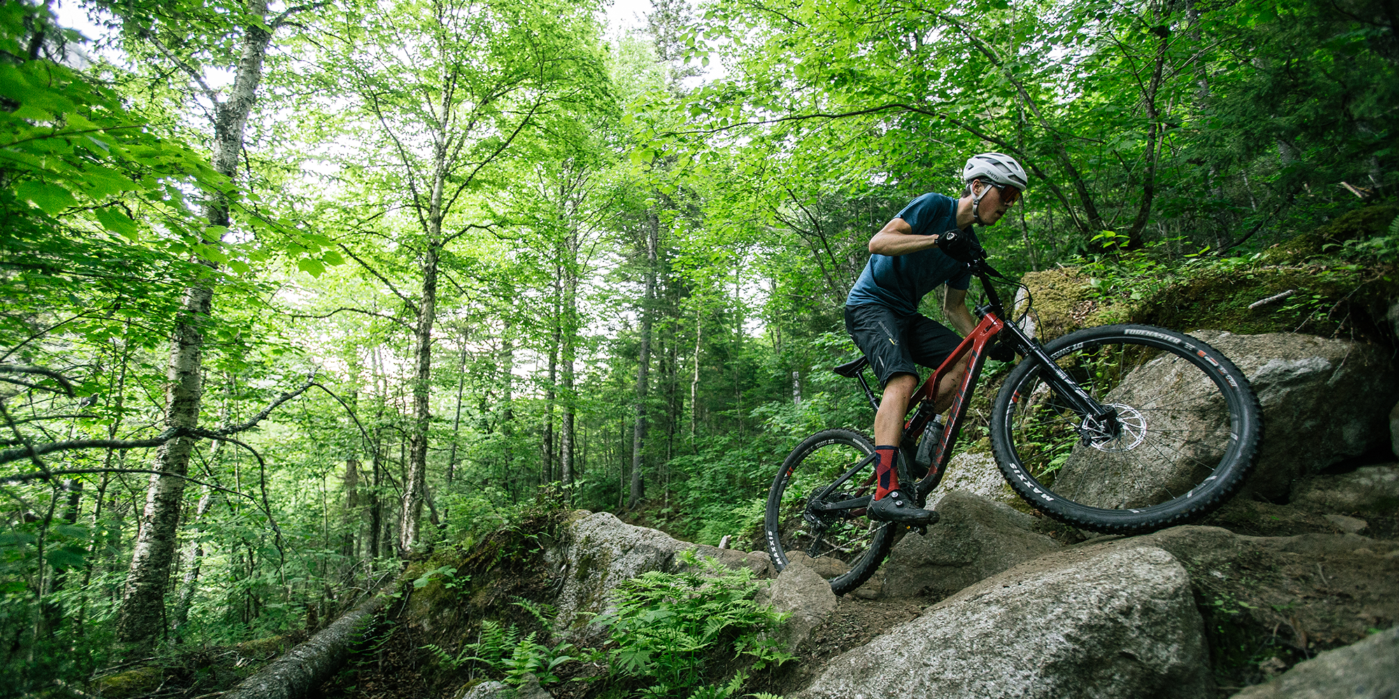 Mountain Bikes
