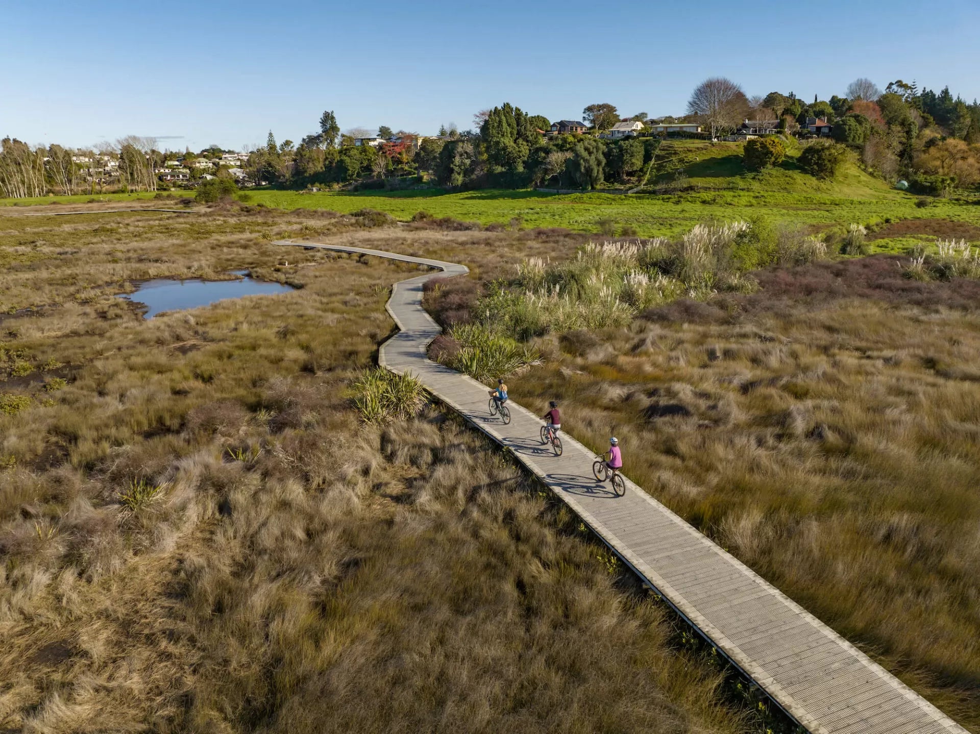 Why Mount Maunganui is Perfect for E-Bikes (And What to Ride)