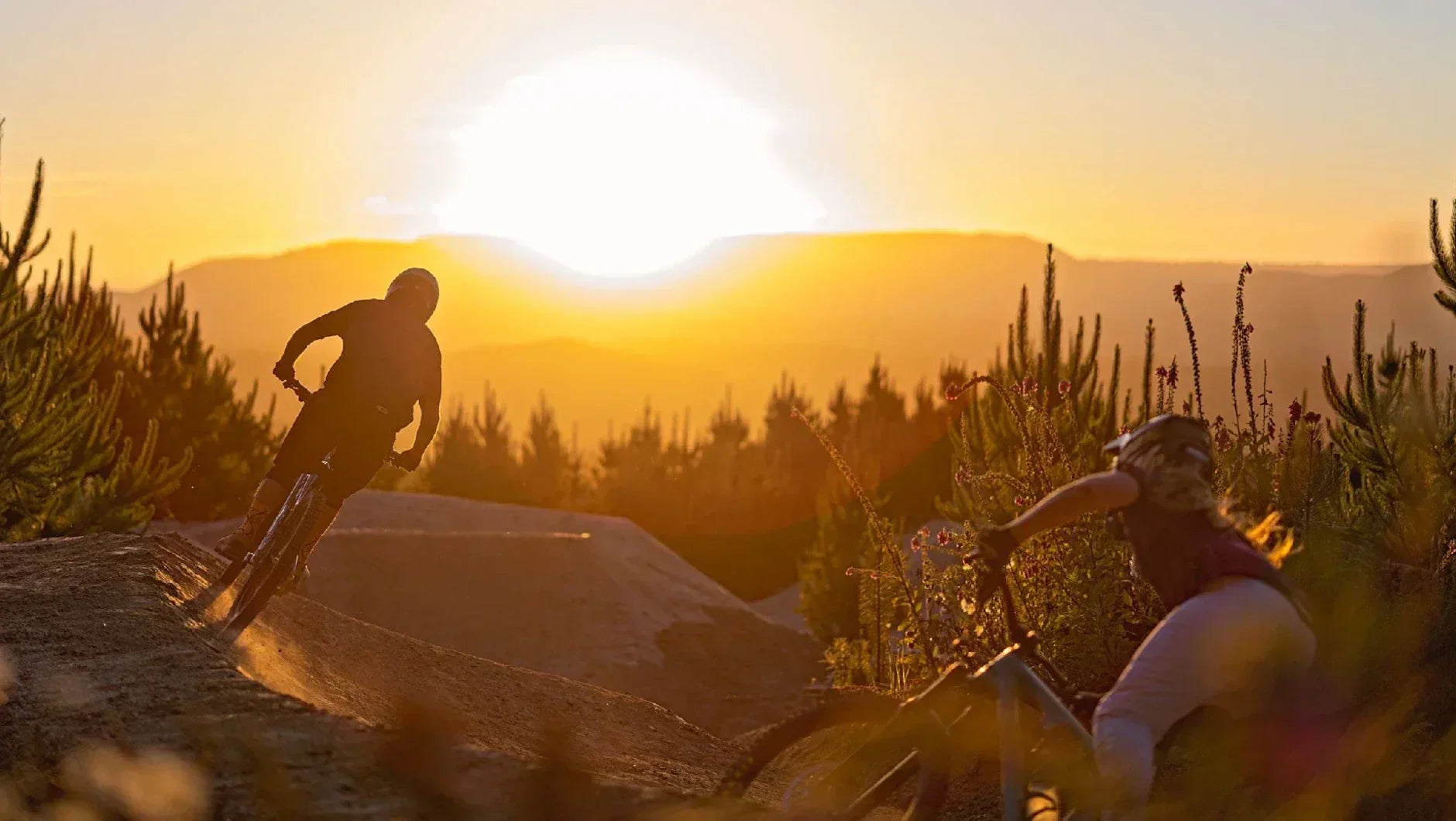 How to Choose the Right MTB for Redwoods Rotorua