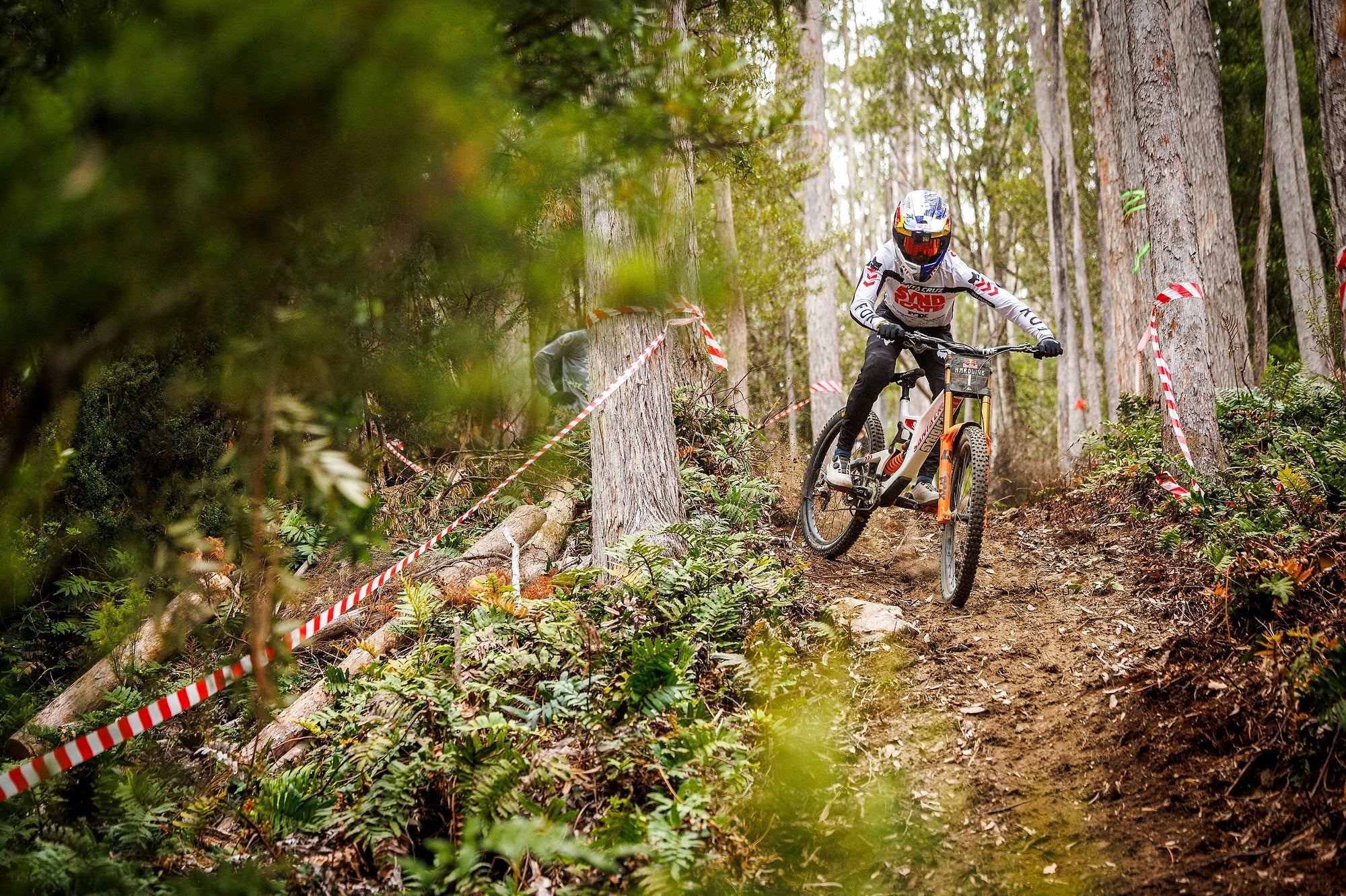 Santa Cruz DH
