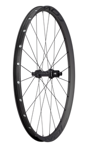 Roval Control SL 29 Center Lock Micro Spline Rear