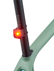 Flashback Taillight