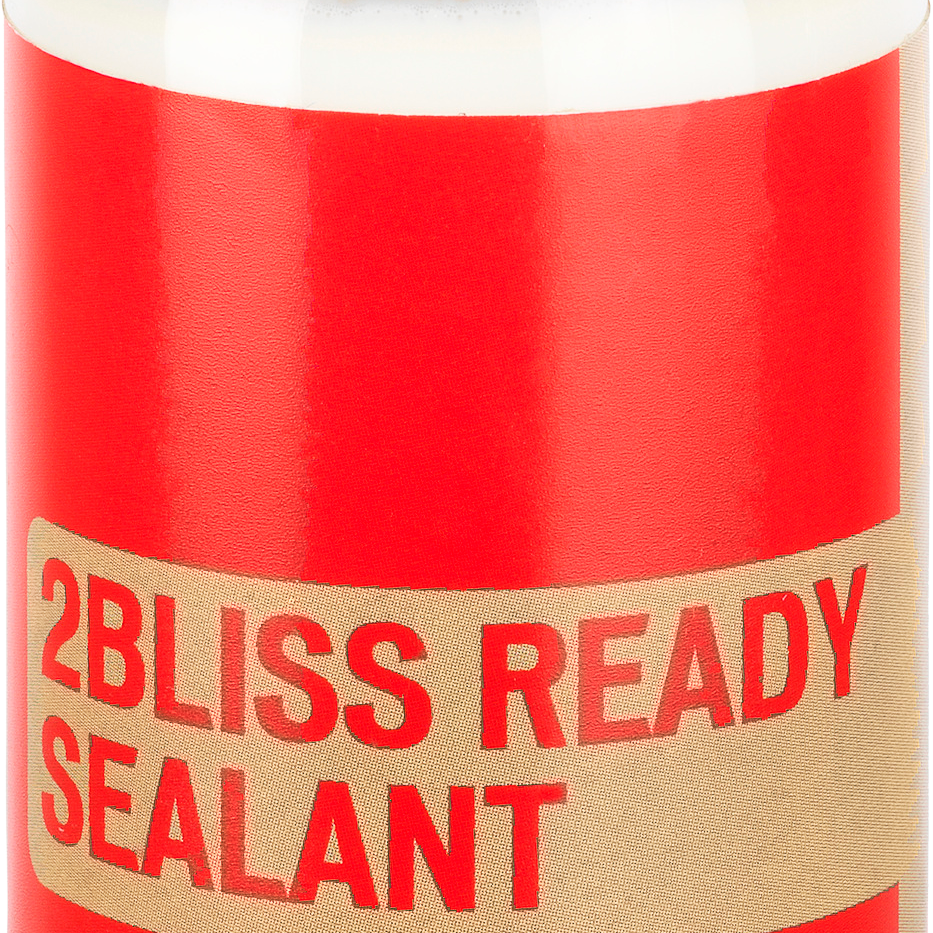 54119-200_TIRE_2BLISS-READY-TIRE-SEALANT_125ML_HERO.png
