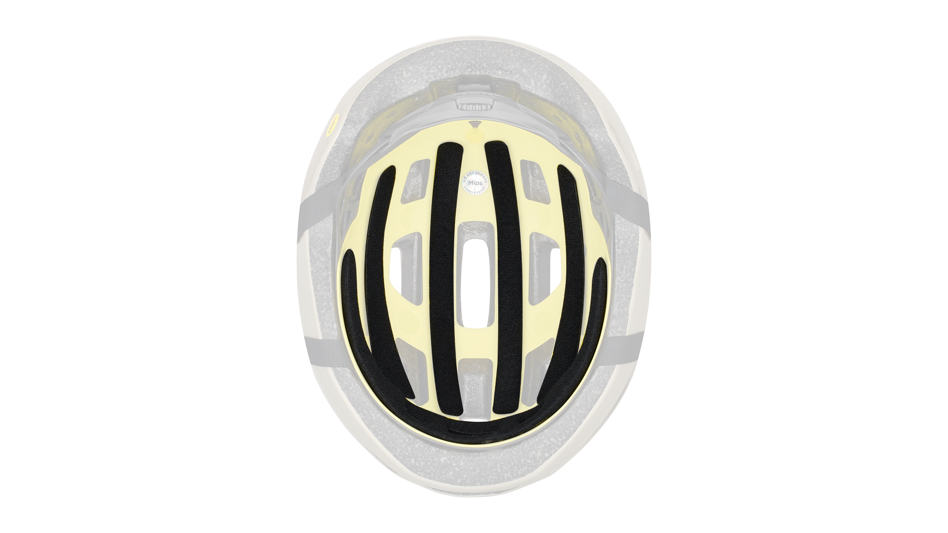 Align II