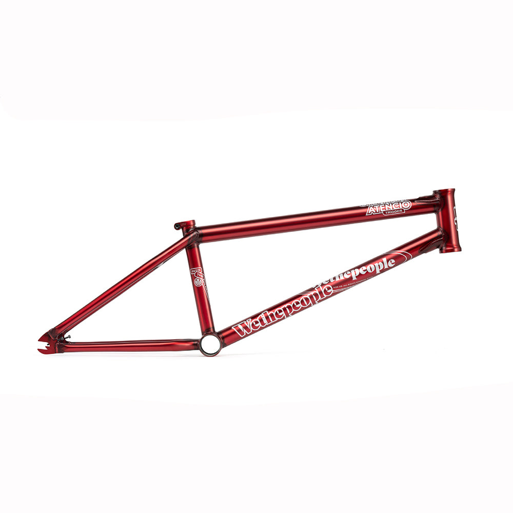  Stephan Atencio Signature colour