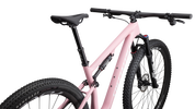 Epic Pro LTD  - SRAM XO, RockShox Ultimate BRAIN