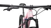 Epic Pro LTD  - SRAM XO, RockShox Ultimate BRAIN