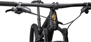 Epic Comp  - SRAM GX Eagle, RockShox SID SL/BRAIN