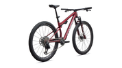 S-Works Epic 9