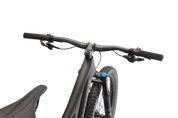 Stumpjumper Comp
