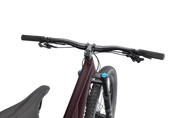 Stumpjumper Comp Alloy  - SRAM NX Eagle, Fox Rhyhm