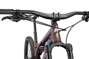 Stumpjumper Comp Alloy  - SRAM NX Eagle, Fox Rhyhm