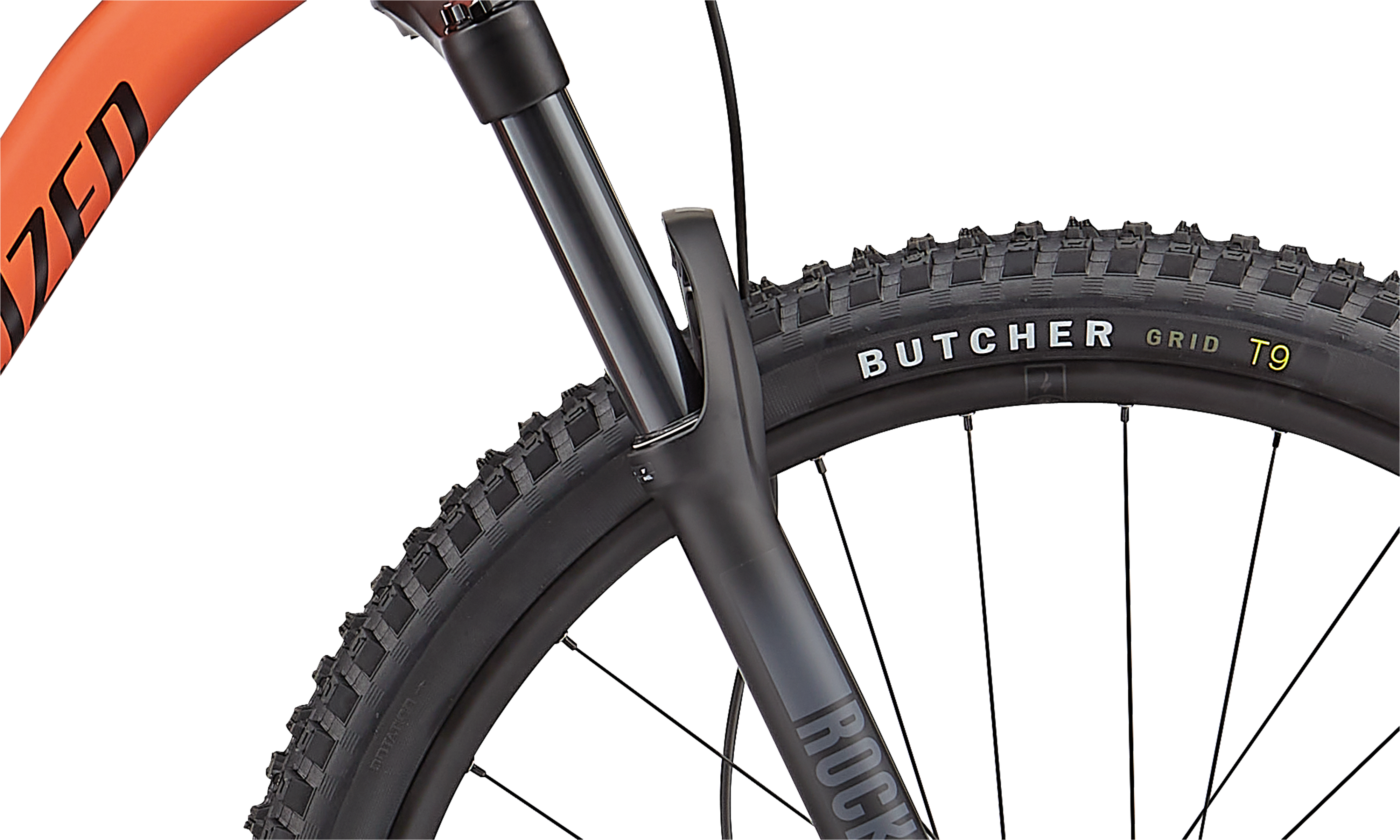Stumpjumper Alloy