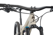 Stumpjumper Expert  - SRAM GX Eagle, Fox Perormance Elite