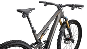 S-Works Stumpjumper 15  - SRAM XX AXS, FOX Factory