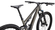 Stumpjumper 15 Expert
