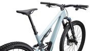 Stumpjumper 15 Comp  - SRAM S-1000 AXS, FOX Performance