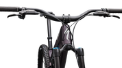 Stumpjumper 15 EVO Expert AXS