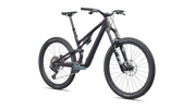 Stumpjumper 15 EVO Expert AXS