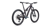 Stumpjumper 15 EVO Expert AXS