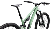 Stumpjumper 15 EVO Expert AXS