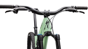 Stumpjumper 15 EVO Expert AXS
