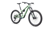 Stumpjumper 15 EVO Expert AXS
