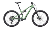 Stumpjumper 15 EVO Expert AXS