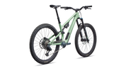Stumpjumper 15 EVO Expert AXS