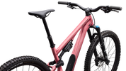 Stumpjumper 15 EVO Alloy Comp  - SRAM Eagle 70, FOX Rhythm