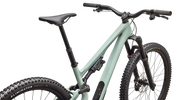 Stumpjumper 15 EVO Expert