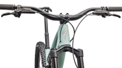 Stumpjumper 15 EVO Expert