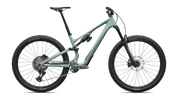 Stumpjumper 15 EVO Expert