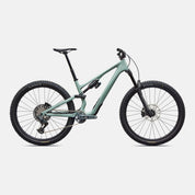 Stumpjumper 15 EVO Expert