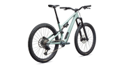Stumpjumper 15 EVO Expert