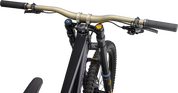 Demo Race
