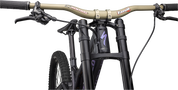 Demo Race
