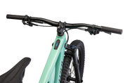Turbo Levo 3 Alloy