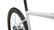 Diverge Expert Carbon