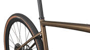 Diverge Expert Carbon