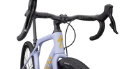 Diverge STR Expert