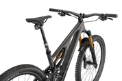 S-Works Stumpjumper EVO