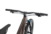 Stumpjumper EVO Comp  - SRAM GX Eagle, FOX Rhythm
