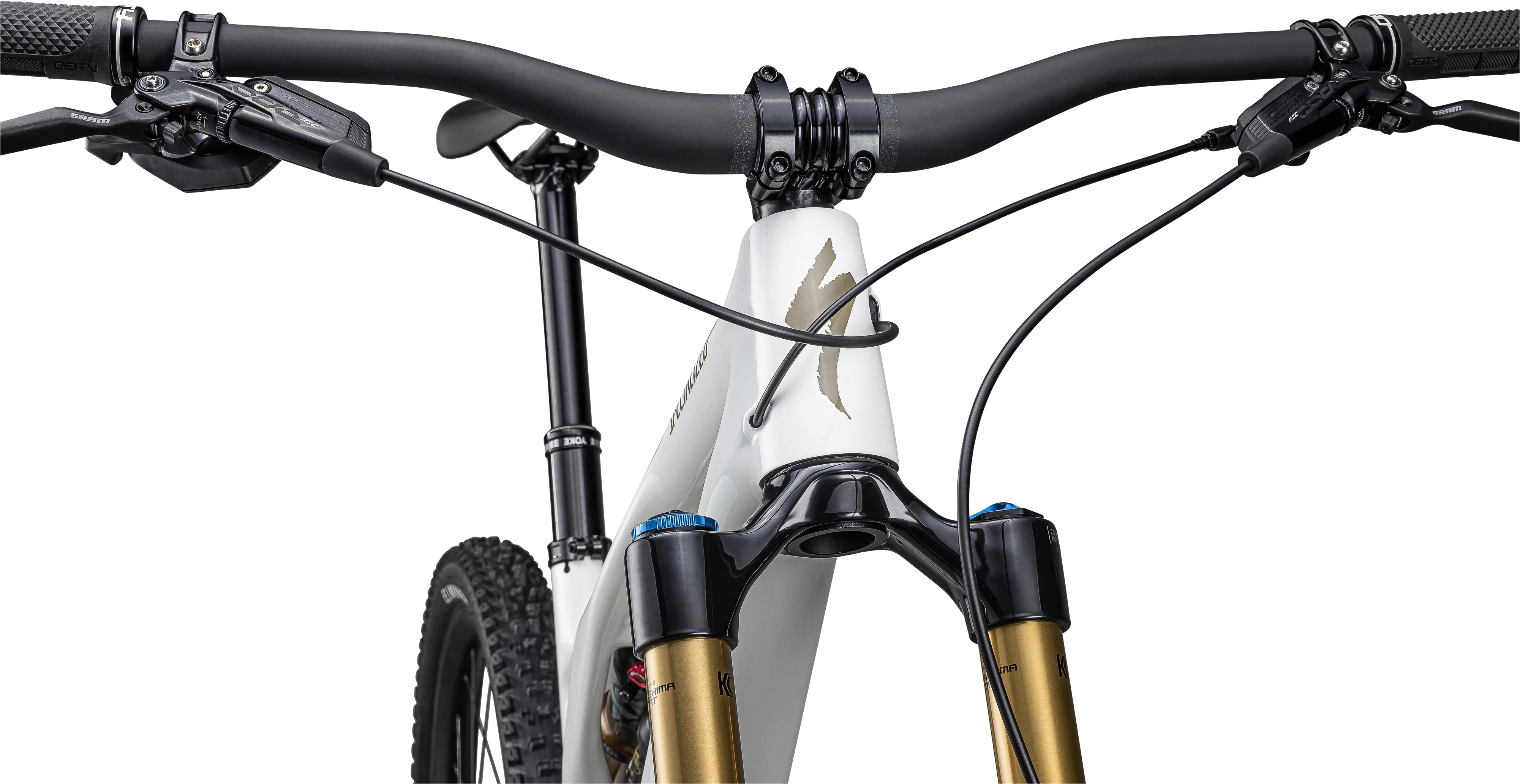 Stumpjumper EVO Pro  - SRAM X01 AXS, FOX Factory