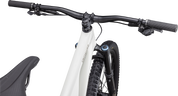 Stumpjumper EVO Expert  - SRAM GX Eagle AXS, FOX Performance Elite