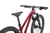 Riprock Expert 24