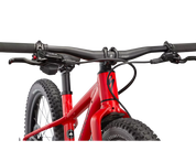 Specialized Riprock 20"