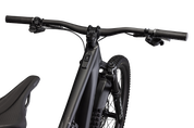 S-Works Turbo Levo SL LTD