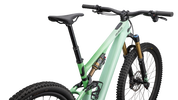 Turbo Levo SL 2 Pro Carbon