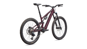 Turbo Levo SL 2 Expert